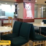 فرید ملن شهر وان ترکیه21 مهاجر سیر ایرانیان