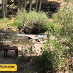 مرادیه 14 مهاجر سیر ایرانیان