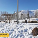 مرادیه 22 مهاجر سیر ایرانیان