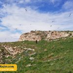 چارپاناک Çarpanak Island 15 مهاجر سیر ایرانیان