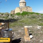 چارپاناک Çarpanak Island 5 مهاجر سیر ایرانیان