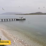 چارپاناک Çarpanak Island 9 مهاجر سیر ایرانیان
