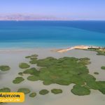 دریاچه وان17 مهاجر سیر ایرانیان