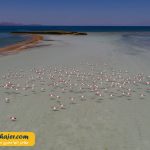 دریاچه وان18 مهاجر سیر ایرانیان