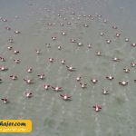 دریاچه وان7 مهاجر سیر ایرانیان