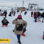 آبالی11 مهاجر سیر ایرانیان