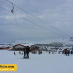 آبالی3 مهاجر سیر ایرانیان