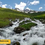 گول 11 مهاجر سیر ایرانیان