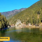 گول 14 مهاجر سیر ایرانیان