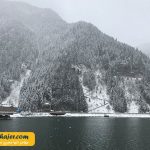 گول 15 مهاجر سیر ایرانیان