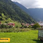 گول 16 مهاجر سیر ایرانیان