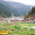 گول 17 مهاجر سیر ایرانیان