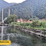 گول 20 مهاجر سیر ایرانیان