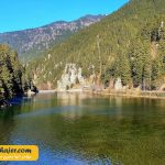 گول 29 مهاجر سیر ایرانیان