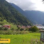 گول 30 مهاجر سیر ایرانیان