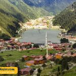 گول 31 مهاجر سیر ایرانیان