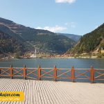 گول 4 مهاجر سیر ایرانیان