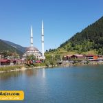 گول 6 مهاجر سیر ایرانیان