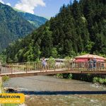 گول 7 مهاجر سیر ایرانیان