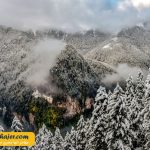 صوملا 15 مهاجر سیر ایرانیان