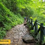 صوملا 6 مهاجر سیر ایرانیان