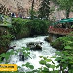 صوملا 8 مهاجر سیر ایرانیان