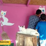 VAN KEDI EVI 18 مهاجر سیر ایرانیان