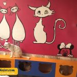 VAN KEDI EVI 4 مهاجر سیر ایرانیان