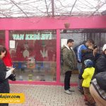 VAN KEDI EVI 7 مهاجر سیر ایرانیان