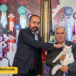 گربه جهان 11 مهاجر سیر ایرانیان