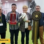 گربه جهان 12 مهاجر سیر ایرانیان