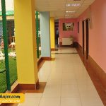 های وان 25 مهاجر سیر ایرانیان