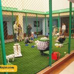 های وان 26 مهاجر سیر ایرانیان