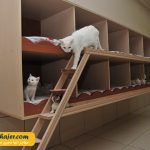 های وان 27 مهاجر سیر ایرانیان