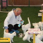 های وان 31 مهاجر سیر ایرانیان