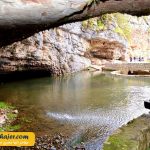 چال ترابزون 1 مهاجر سیر ایرانیان