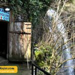 چال ترابزون 49 مهاجر سیر ایرانیان