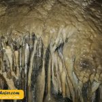 چال ترابزون 50 مهاجر سیر ایرانیان