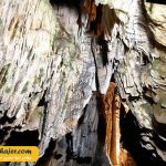 چال ترابزون 61 مهاجر سیر ایرانیان