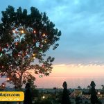 ایاصوفیه ترابزون 19 مهاجر سیر ایرانیان