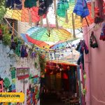 بدستن ترابزون 27 مهاجر سیر ایرانیان