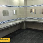 ورزشی نورتاتار 31 مهاجر سیر ایرانیان