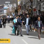 خرید وان 105 مهاجر سیر ایرانیان