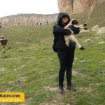 21 مهاجر سیر ایرانیان