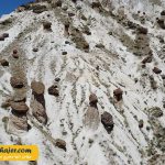 37 مهاجر سیر ایرانیان