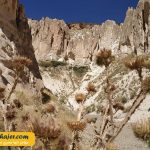 43 مهاجر سیر ایرانیان