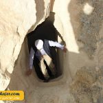 44 مهاجر سیر ایرانیان