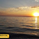 ملاقاسم وان 21 مهاجر سیر ایرانیان
