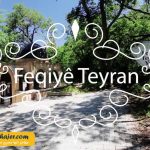 فقی طیران 2 مهاجر سیر ایرانیان