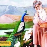 فقی طیران 4 مهاجر سیر ایرانیان